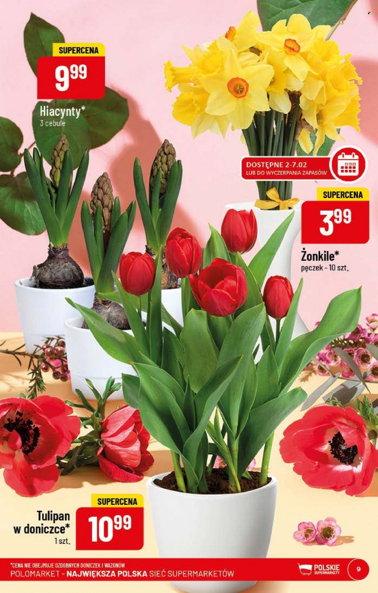 Gazetka Polomarket - 1.02.2023 - 7.02.2023. Strona 9