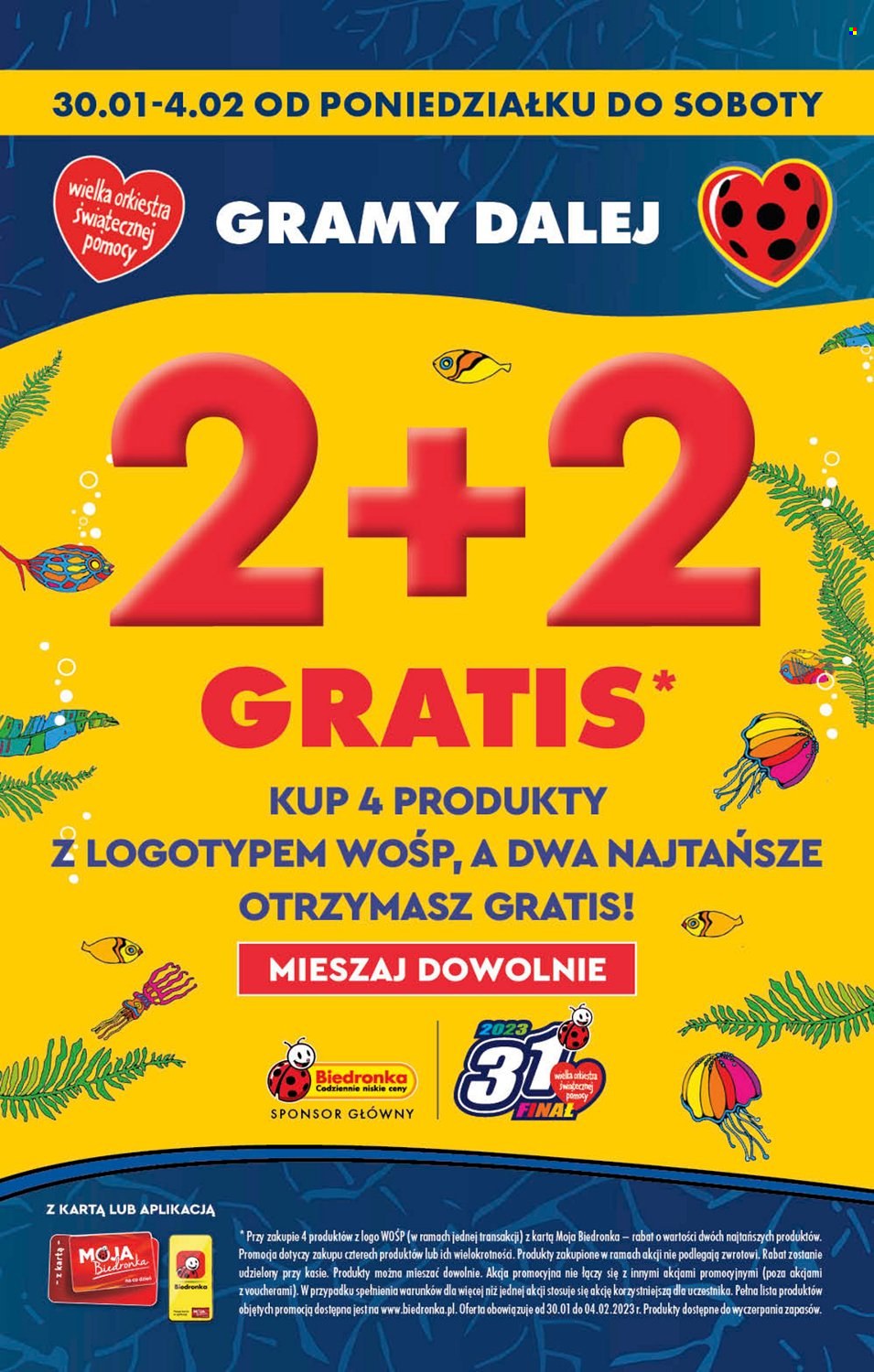 Gazetka Biedronka - 30.01.2023 - 4.02.2023. Strona 51