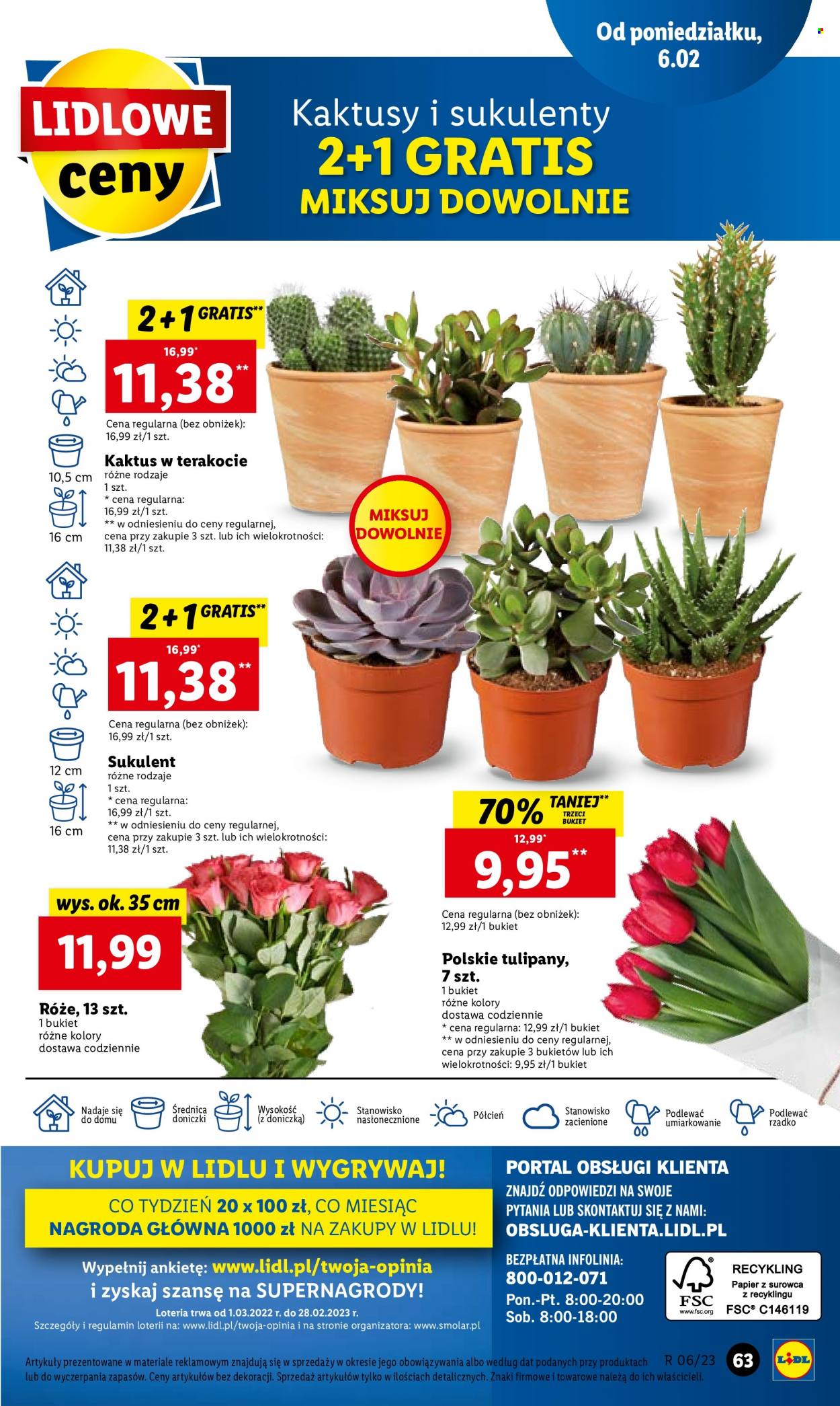 Gazetka Lidl - 6.02.2023 - 8.02.2023. Strona 65