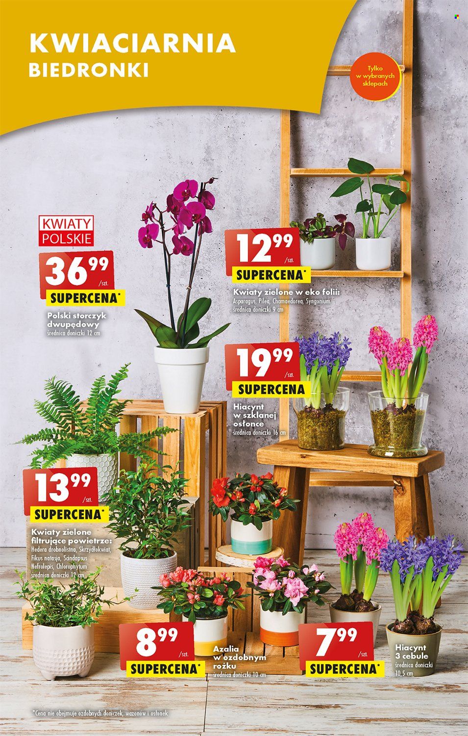 Gazetka Biedronka - 6.02.2023 - 11.02.2023. Strona 48