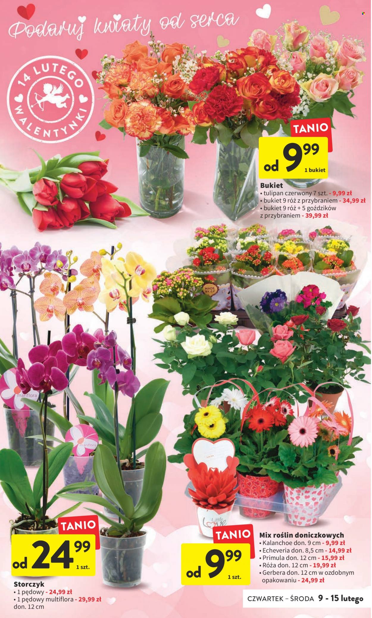 Gazetka Intermarché - 9.02.2023 - 15.02.2023. Strona 12