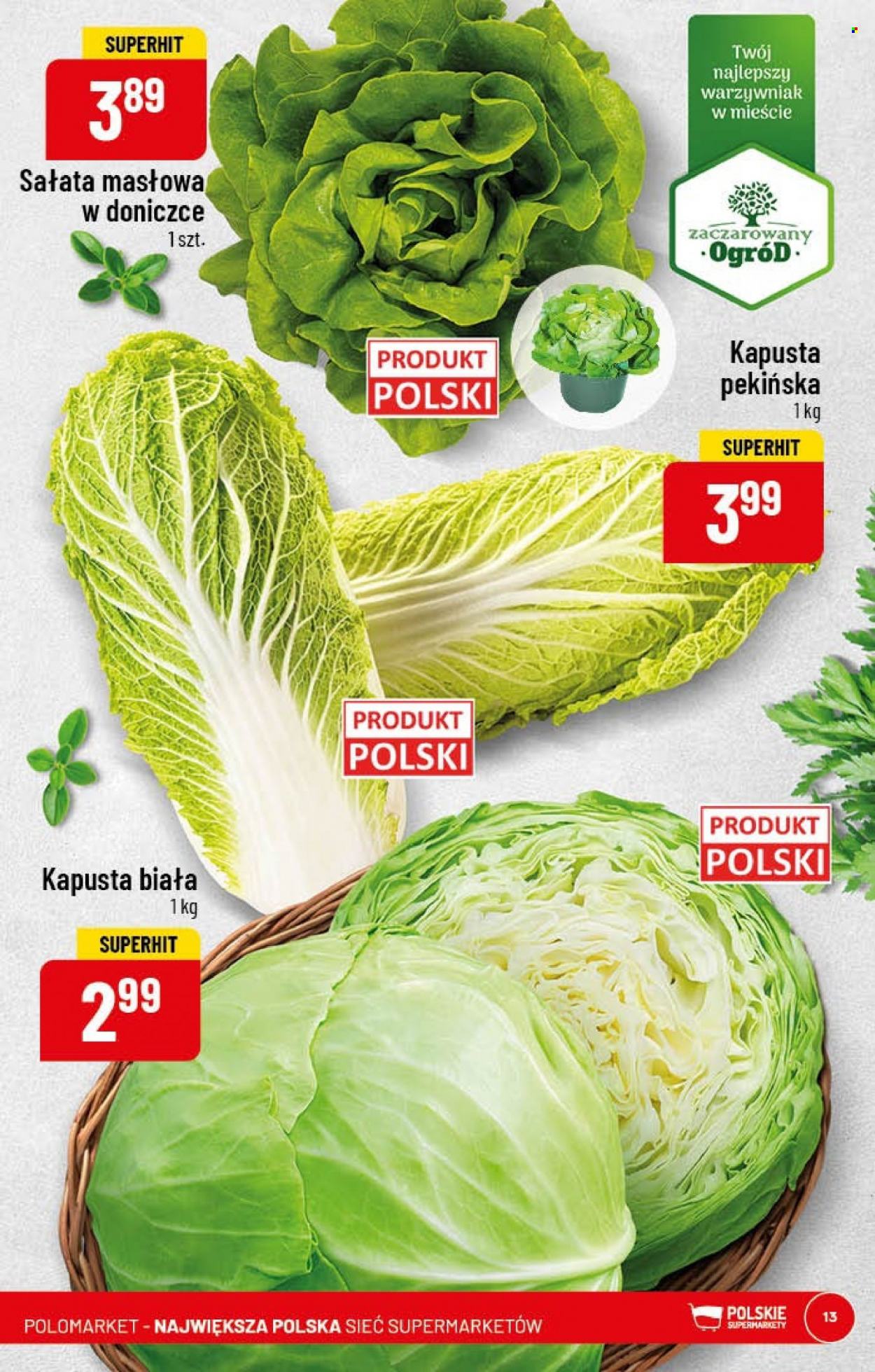 Gazetka Polomarket - 8.02.2023 - 14.02.2023. Strona 13