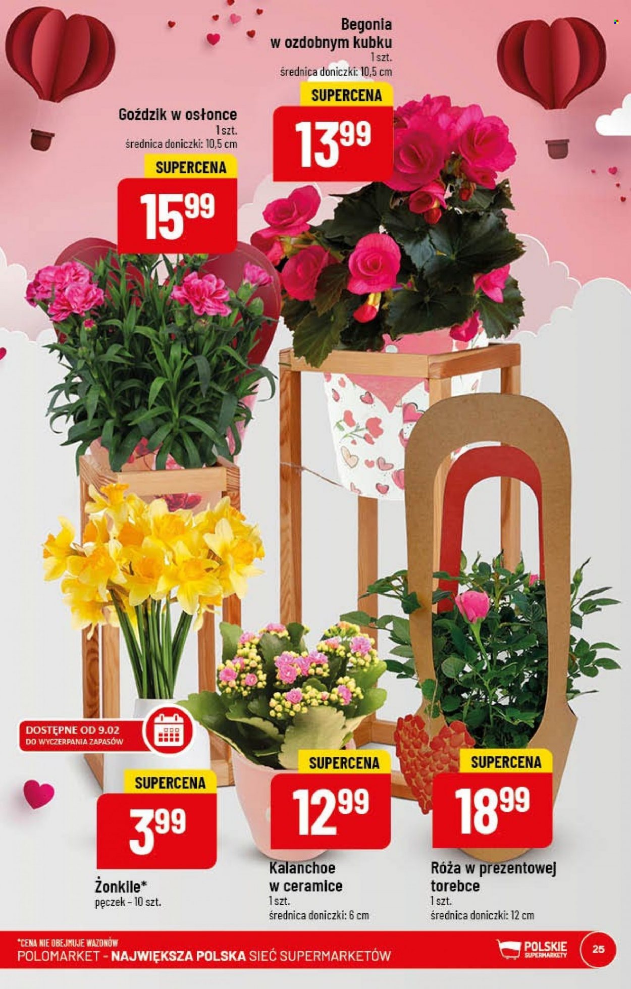 Gazetka Polomarket - 8.02.2023 - 14.02.2023. Strona 25