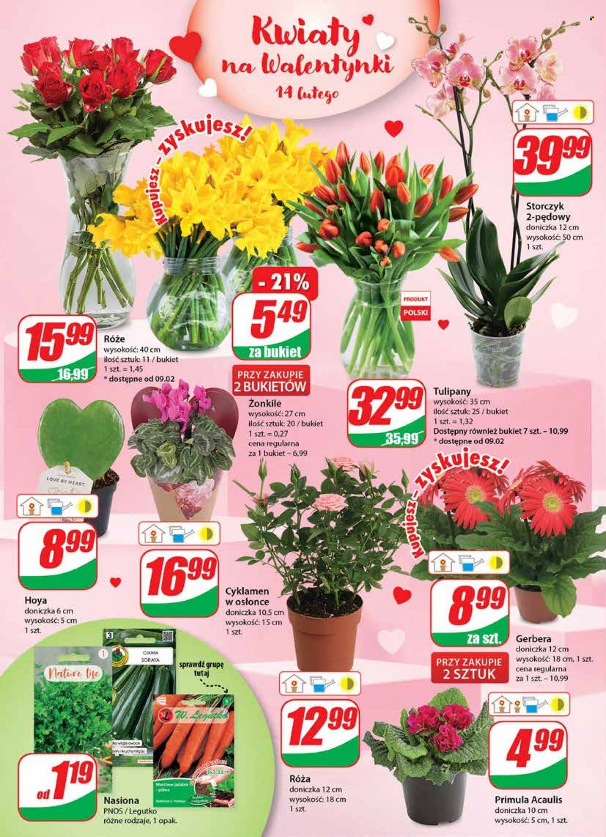 Gazetka Dino - 8.02.2023 - 14.02.2023. Strona 22
