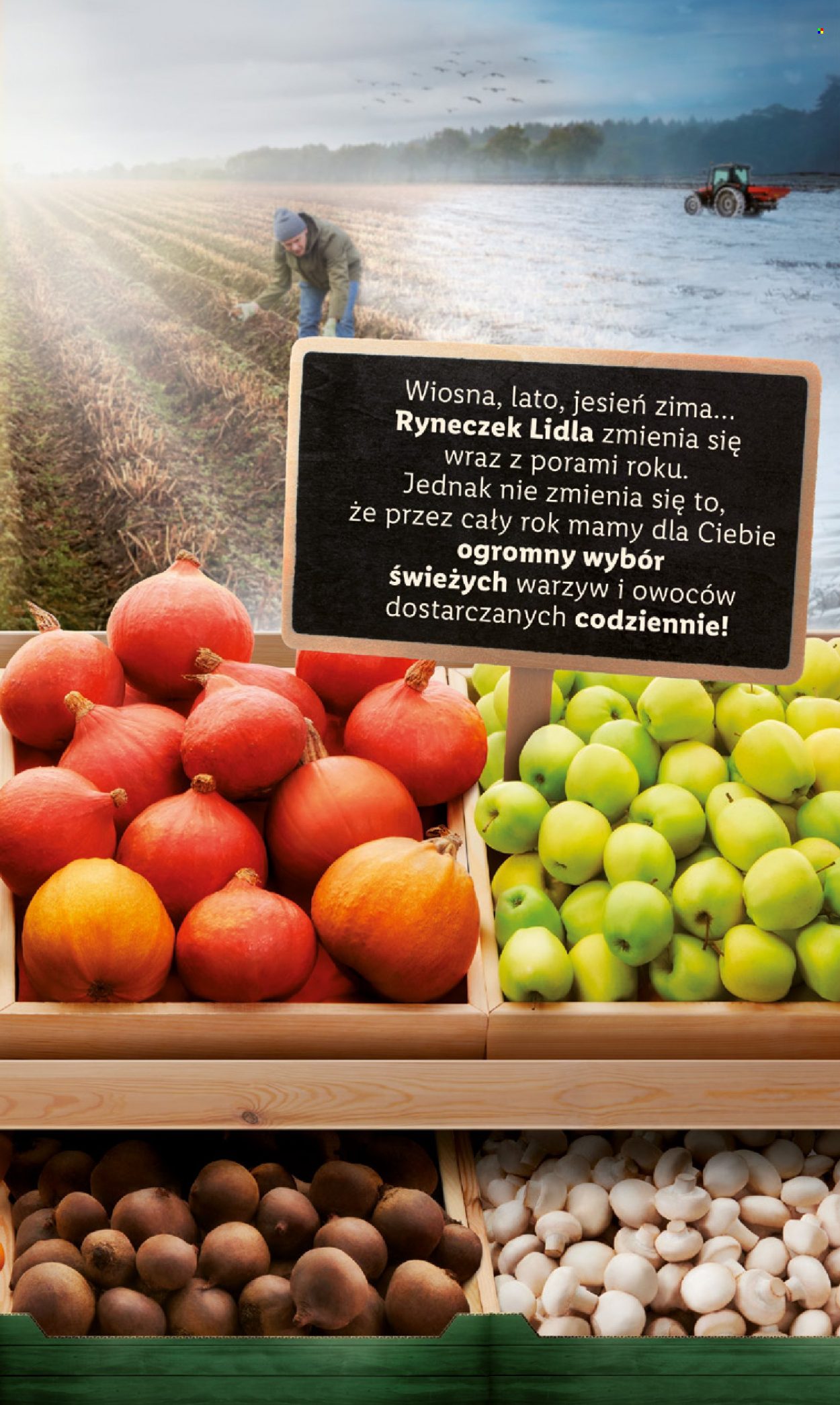 Gazetka Lidl - 9.02.2023 - 11.02.2023. Strona 3