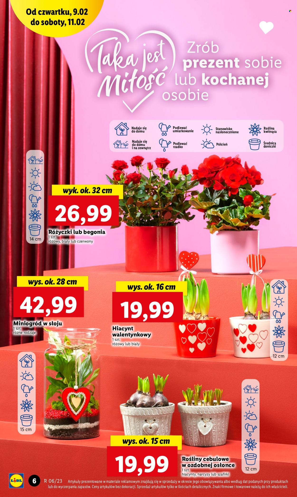 Gazetka Lidl - 9.02.2023 - 11.02.2023. Strona 8