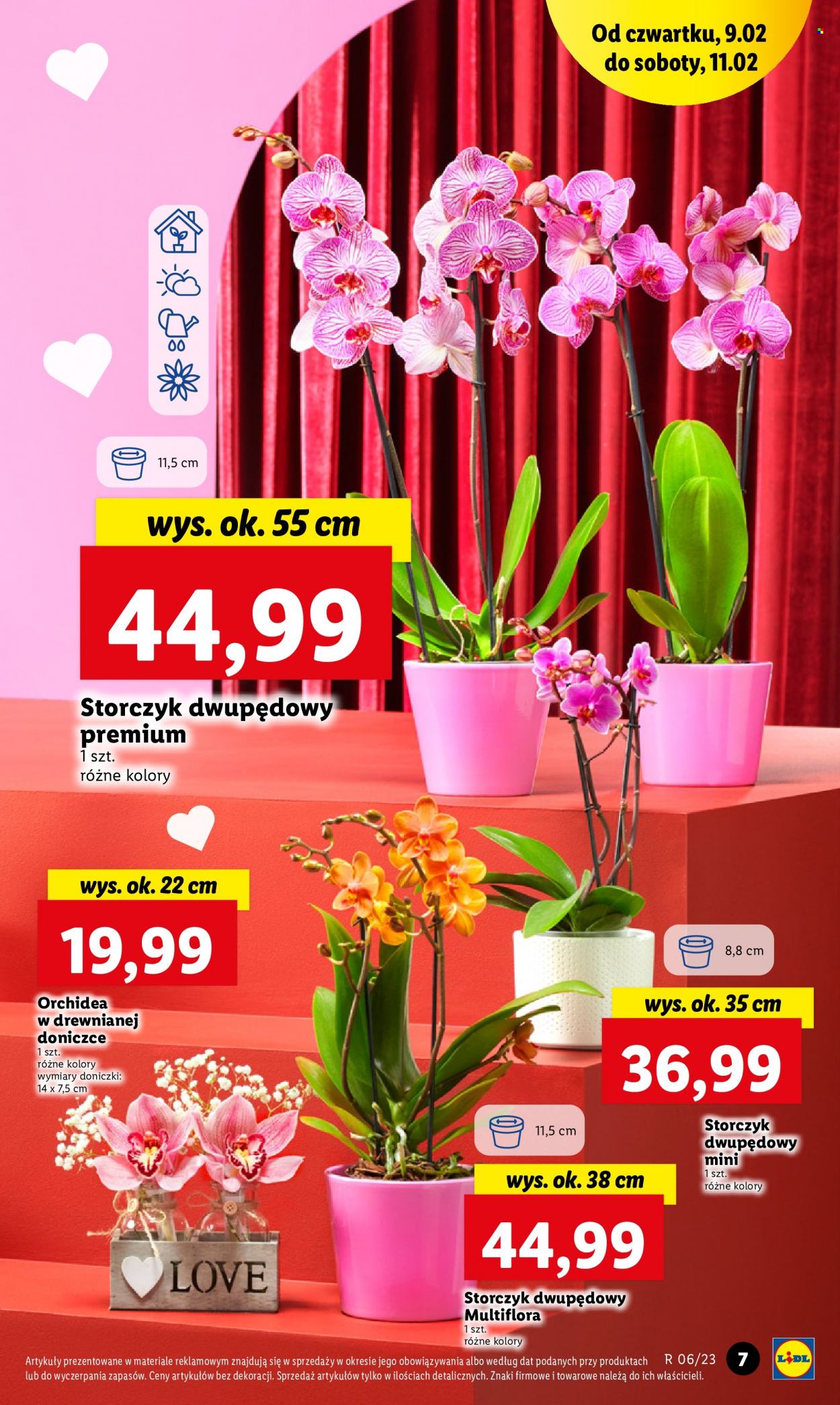 Gazetka Lidl - 9.02.2023 - 11.02.2023. Strona 9