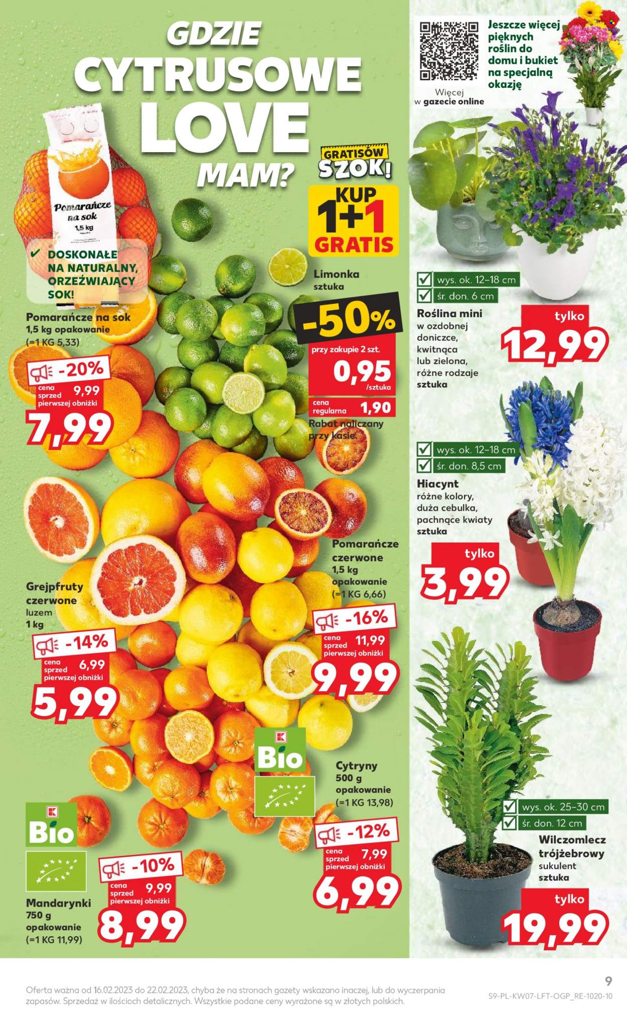Gazetka Kaufland - 16.02.2023 - 22.02.2023. Strona 9