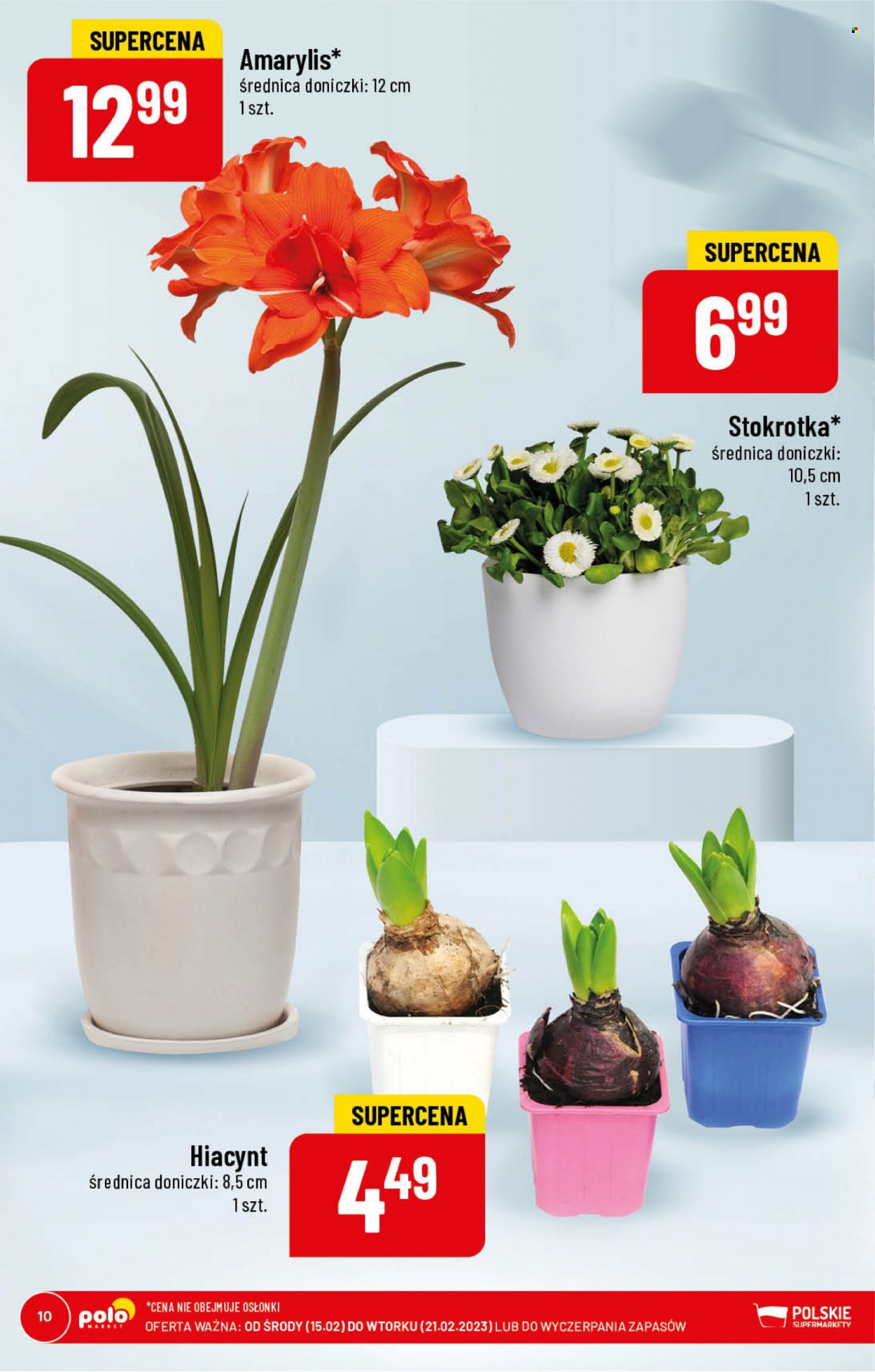 Gazetka Polomarket - 15.02.2023 - 21.02.2023. Strona 10