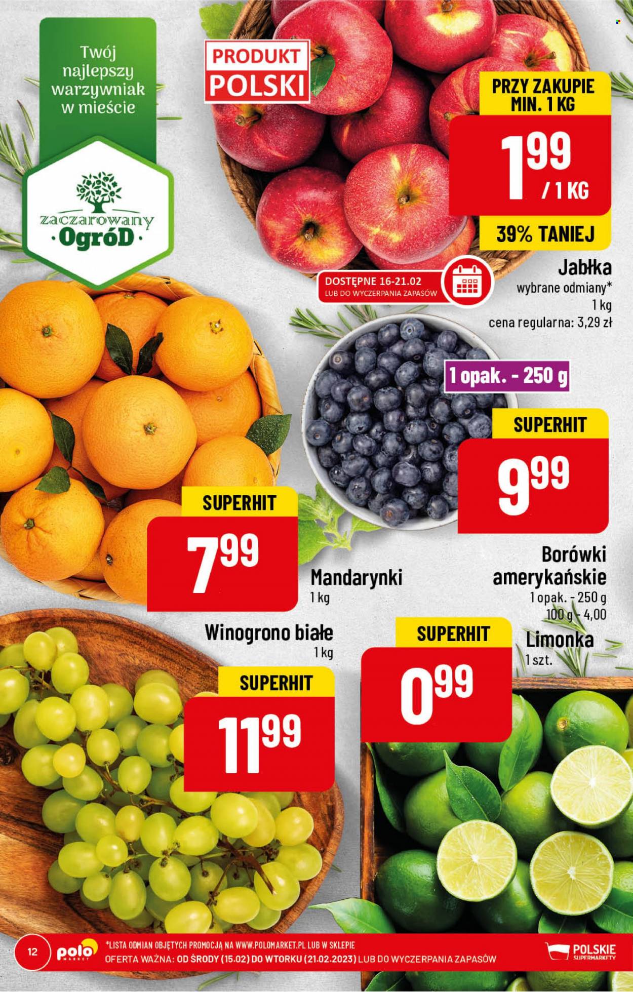 Gazetka Polomarket - 15.02.2023 - 21.02.2023. Strona 12