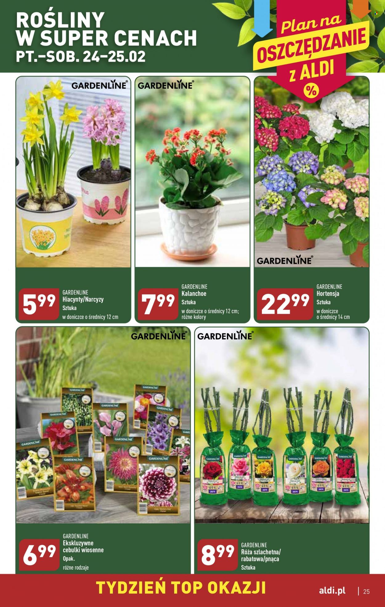 Gazetka ALDI - 20.02.2023 - 25.02.2023. Strona 25
