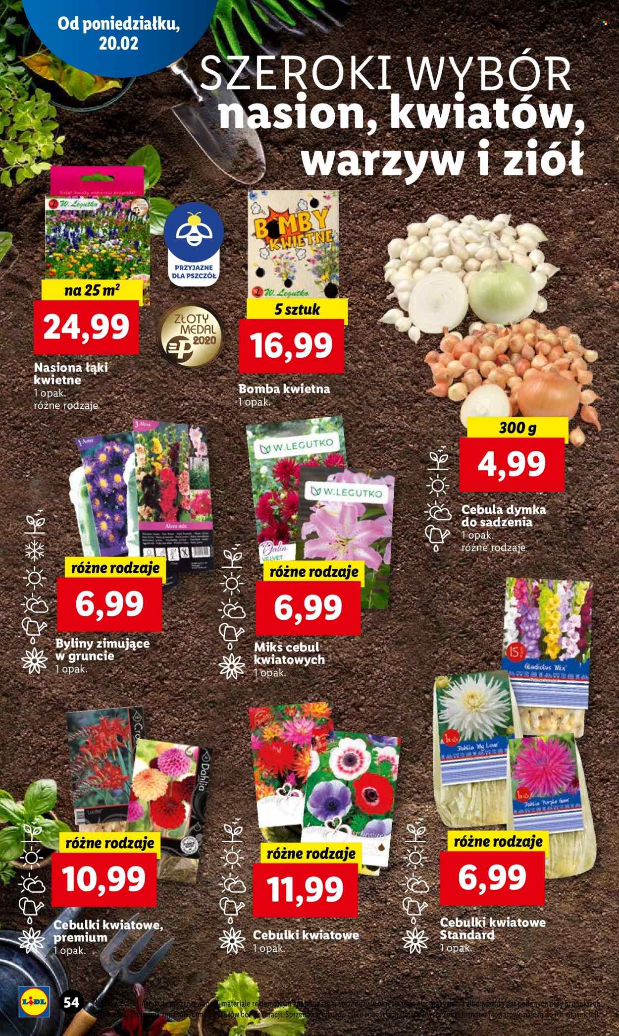 Gazetka Lidl - 20.02.2023 - 22.02.2023. Strona 62