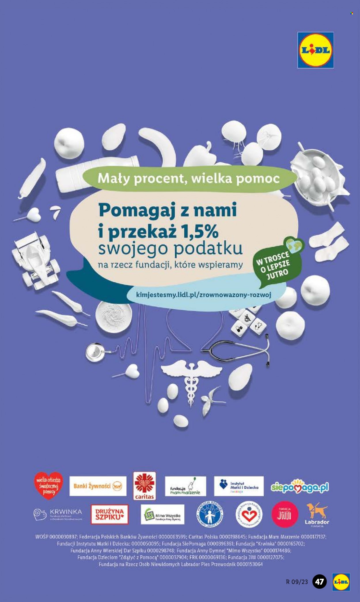 Gazetka Lidl - 27.02.2023 - 4.03.2023. Strona 47