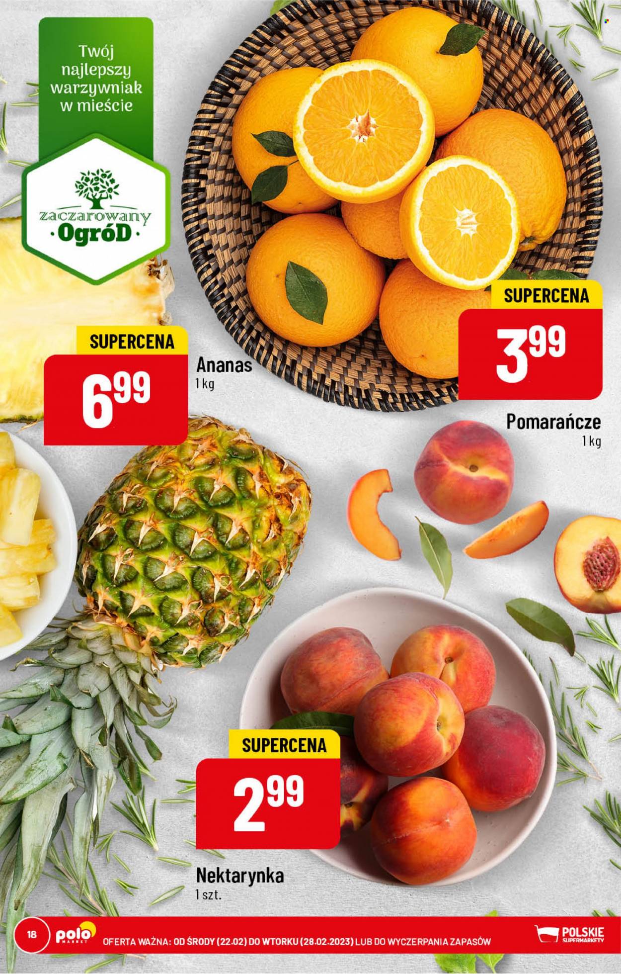 Gazetka Polomarket - 22.02.2023 - 28.02.2023. Strona 18