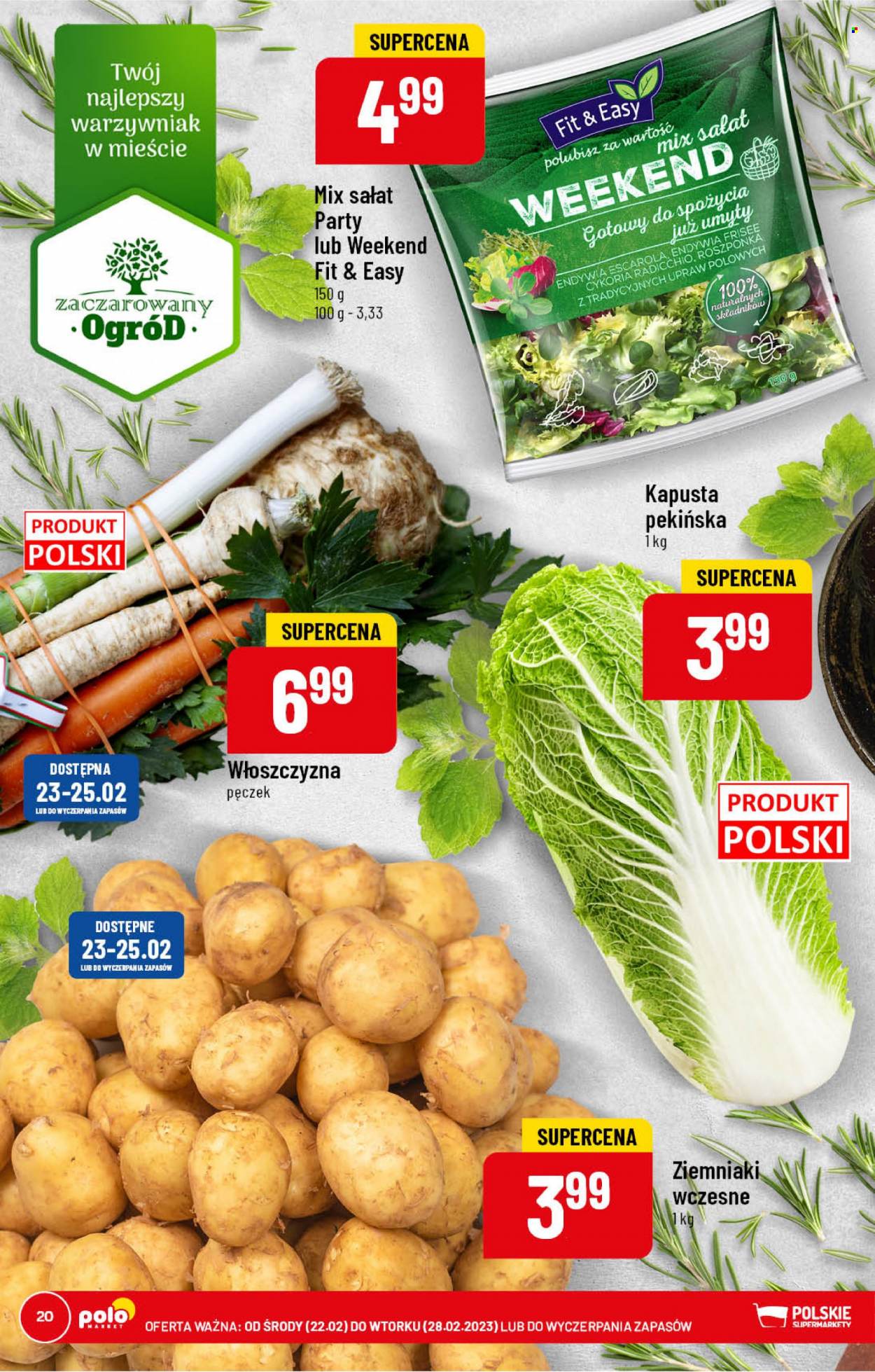 Gazetka Polomarket - 22.02.2023 - 28.02.2023. Strona 20