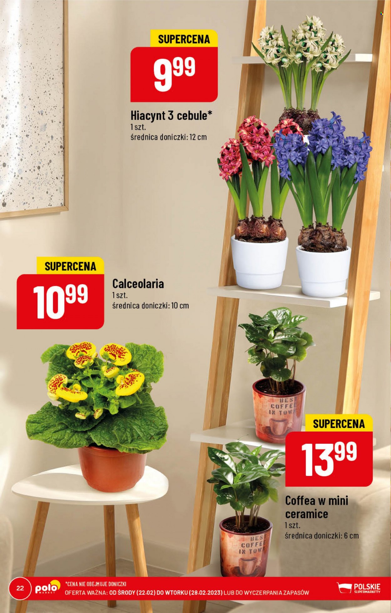 Gazetka Polomarket - 22.02.2023 - 28.02.2023. Strona 22