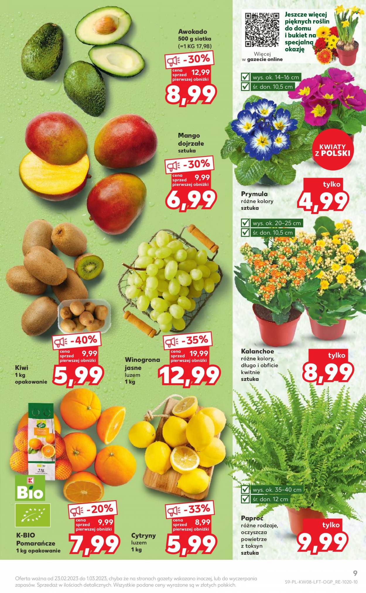 Gazetka Kaufland - 23.02.2023 - 1.03.2023. Strona 9