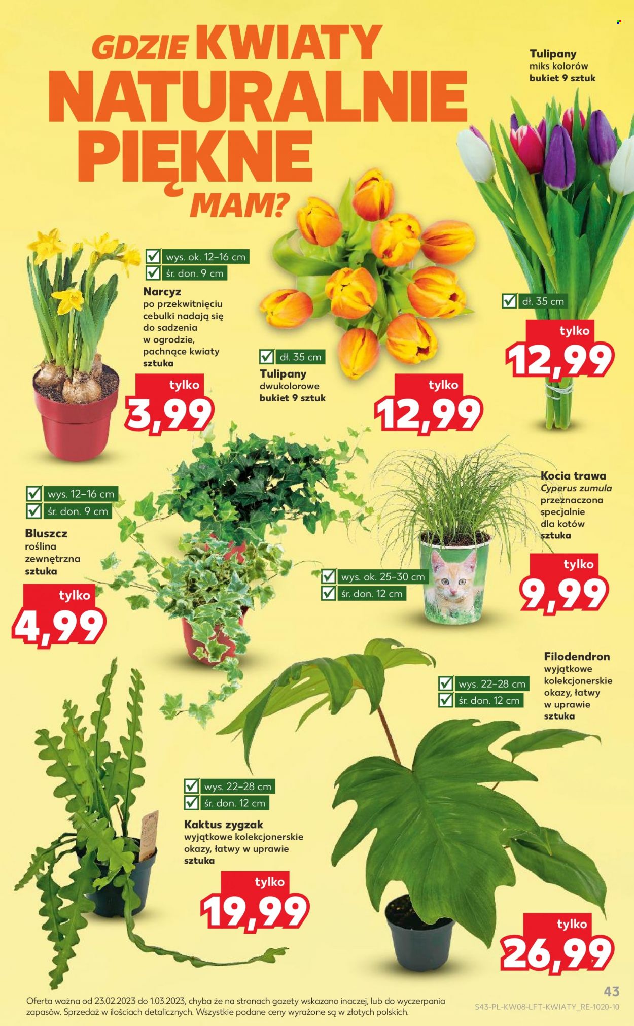 Gazetka Kaufland - 23.02.2023 - 1.03.2023. Strona 43