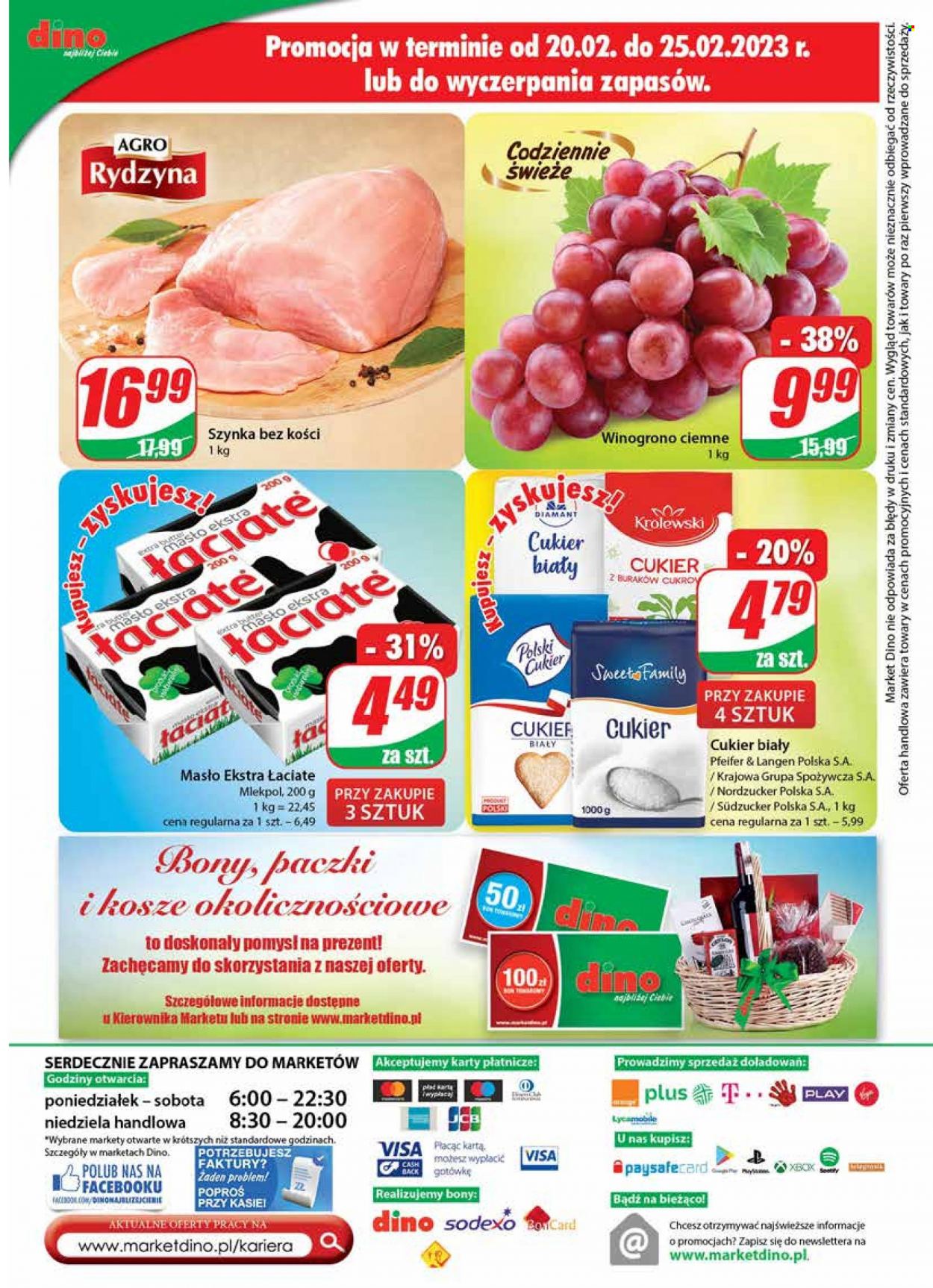 Gazetka Dino - 22.02.2023 - 28.02.2023. Strona 24