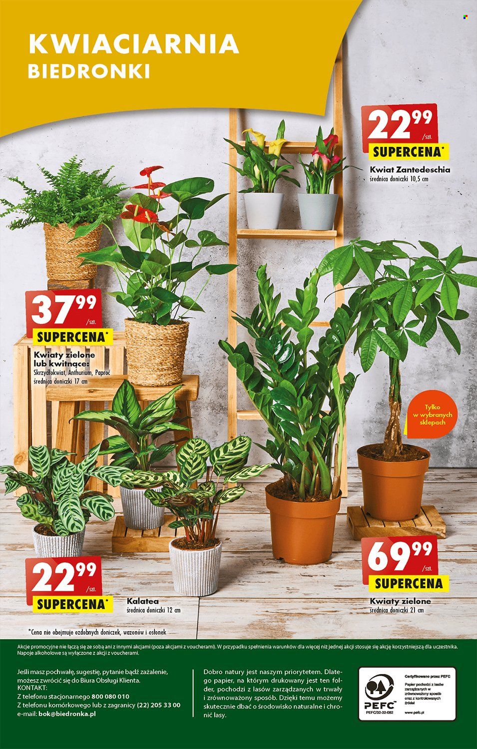 Gazetka Biedronka - 27.02.2023 - 4.03.2023. Strona 48