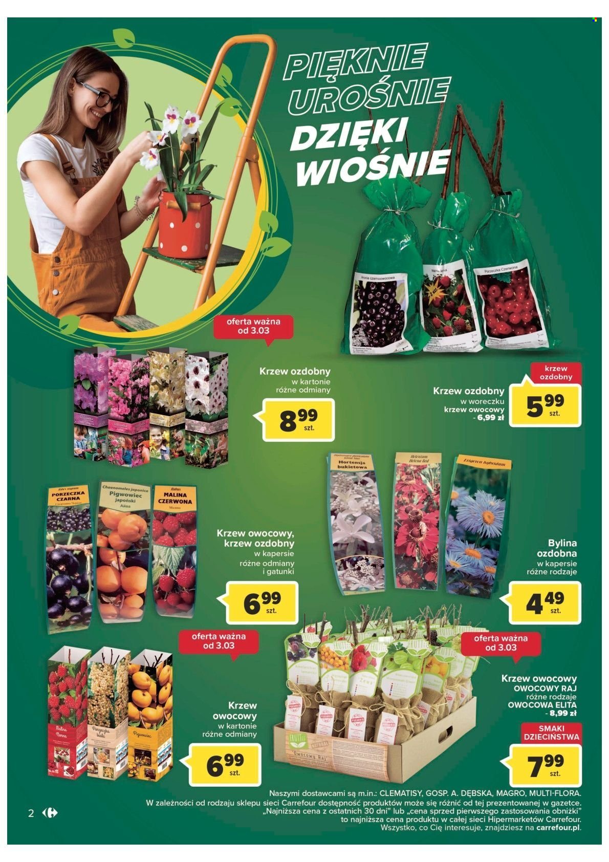 Gazetka Carrefour - 28.02.2023 - 11.03.2023. Strona 5