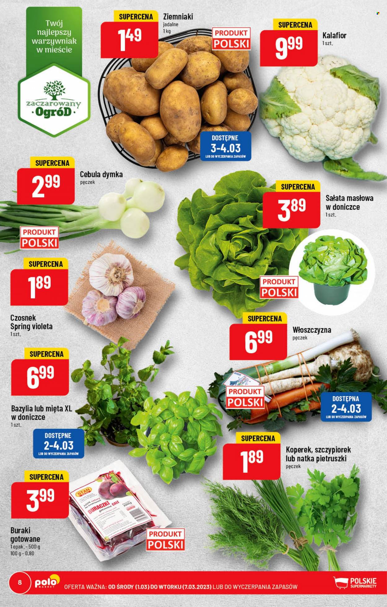 Gazetka Polomarket - 1.03.2023 - 7.03.2023. Strona 8