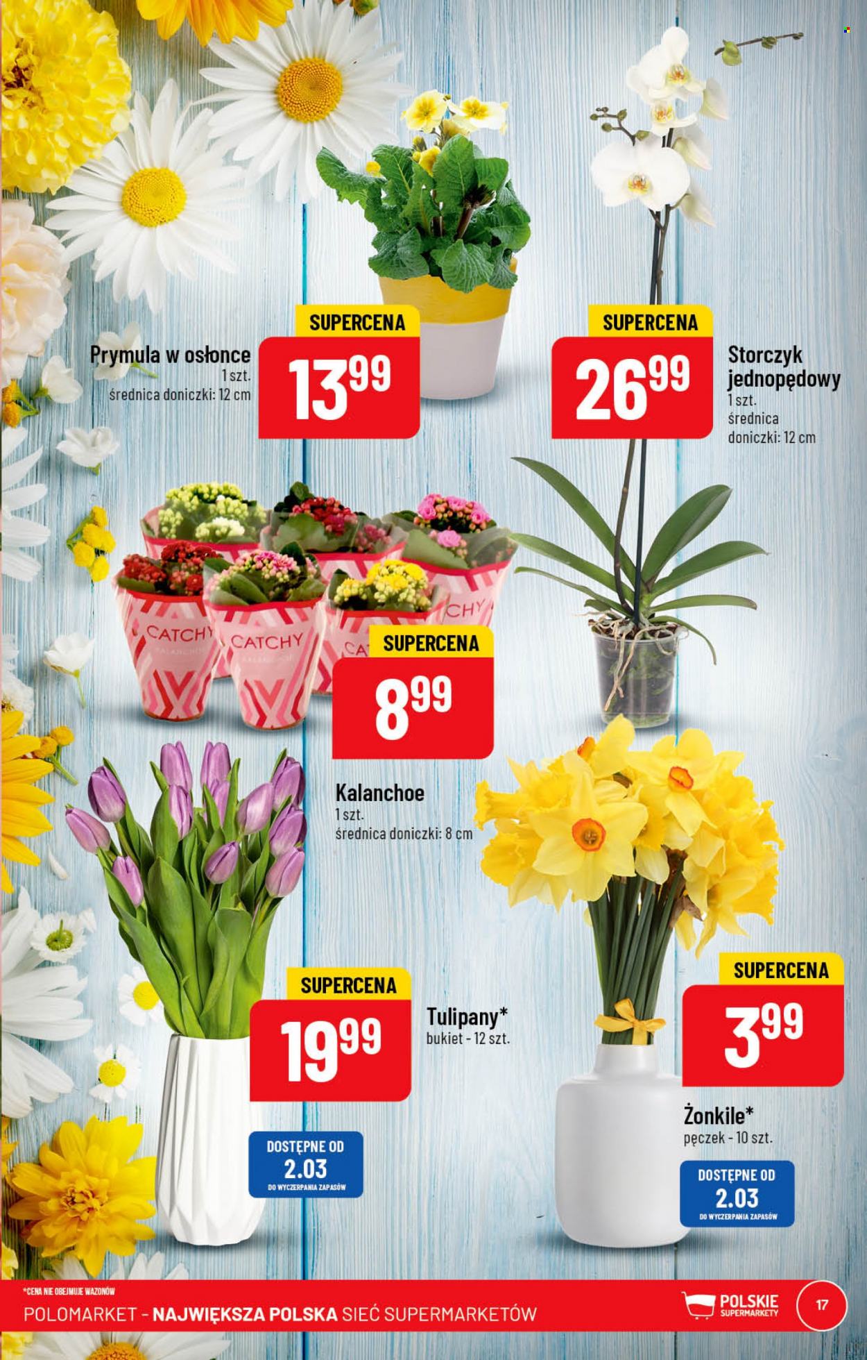 Gazetka Polomarket - 1.03.2023 - 7.03.2023. Strona 17