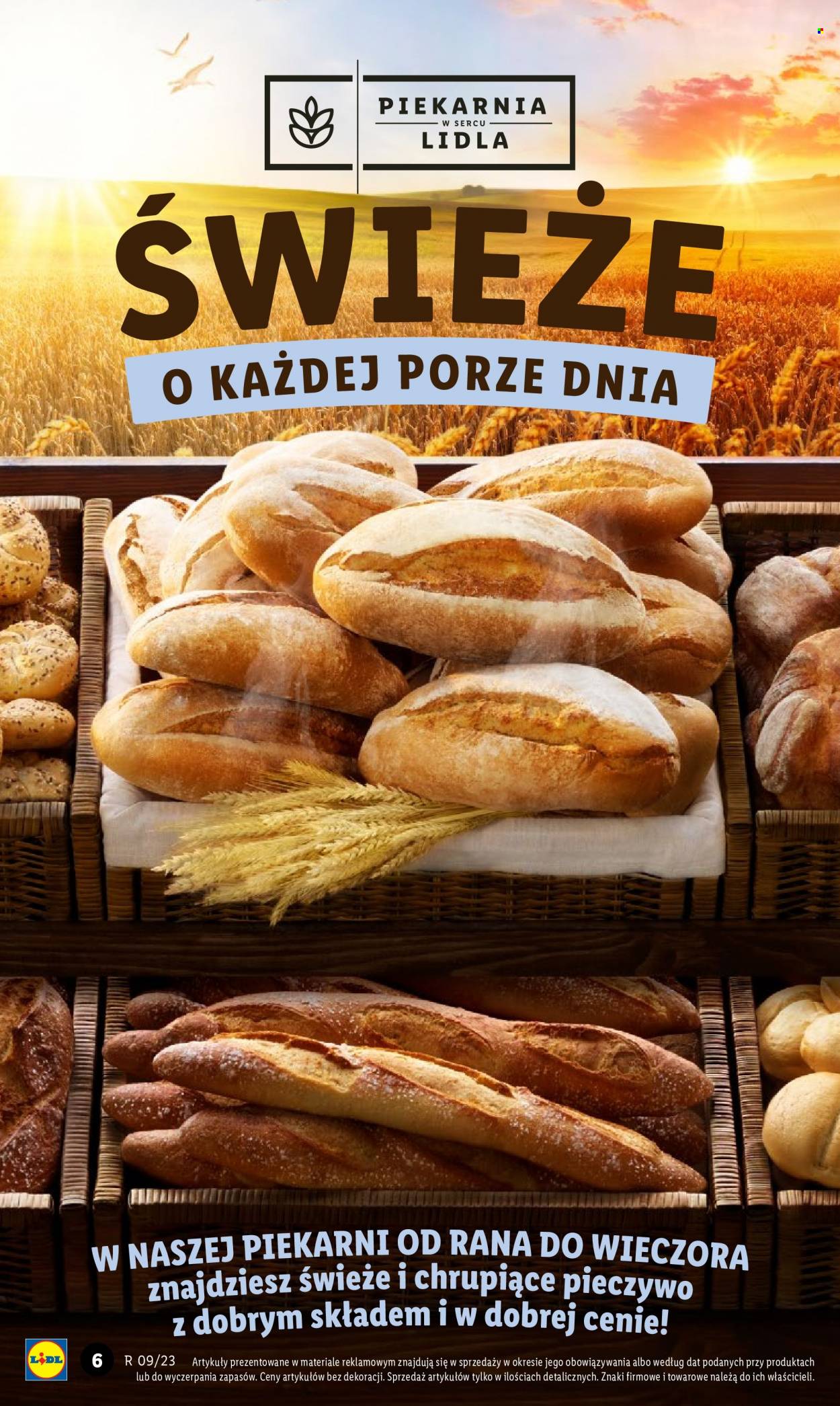 Gazetka Lidl - 2.03.2023 - 4.03.2023. Strona 8