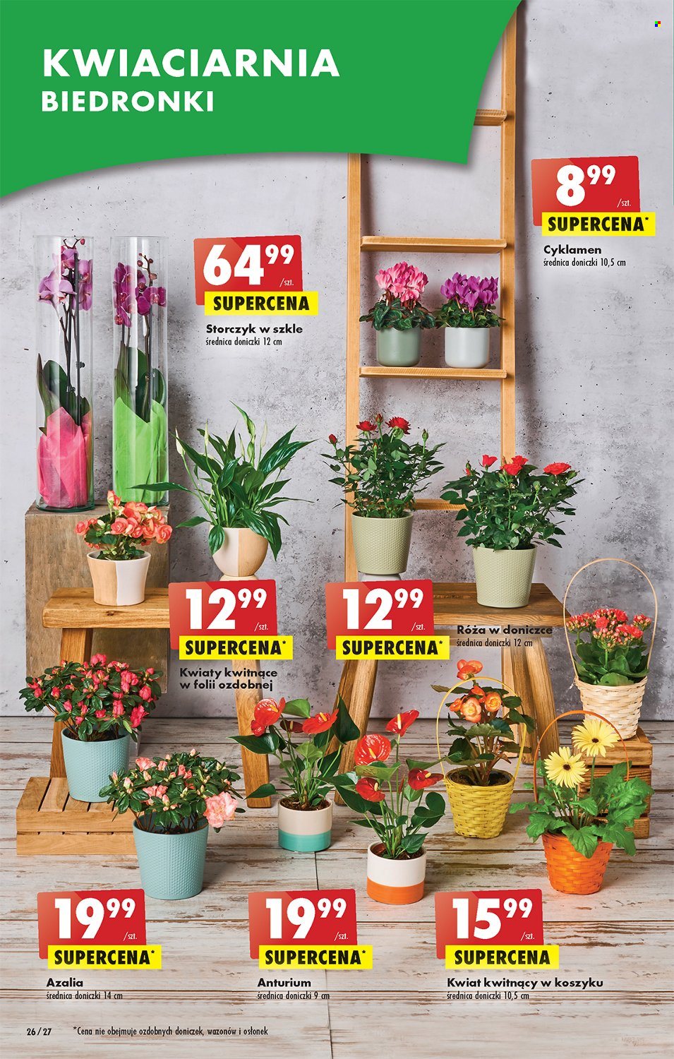 Gazetka Biedronka - 2.03.2023 - 8.03.2023. Strona 26