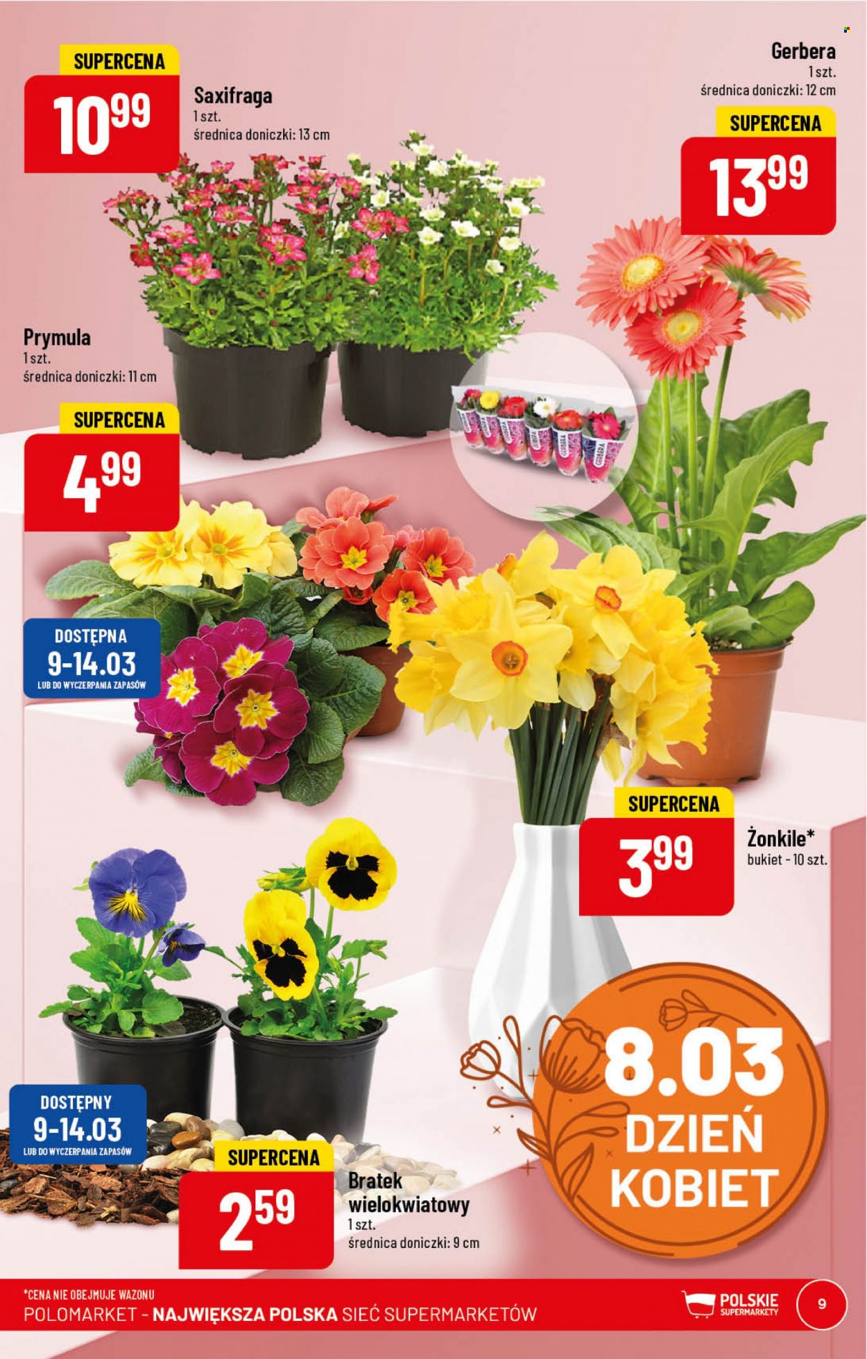 Gazetka Polomarket - 8.03.2023 - 14.03.2023. Strona 9