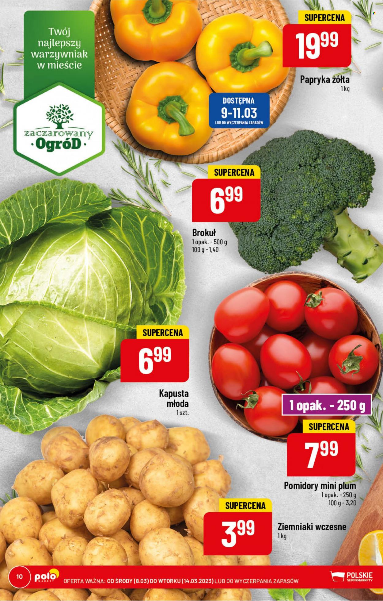Gazetka Polomarket - 8.03.2023 - 14.03.2023. Strona 10