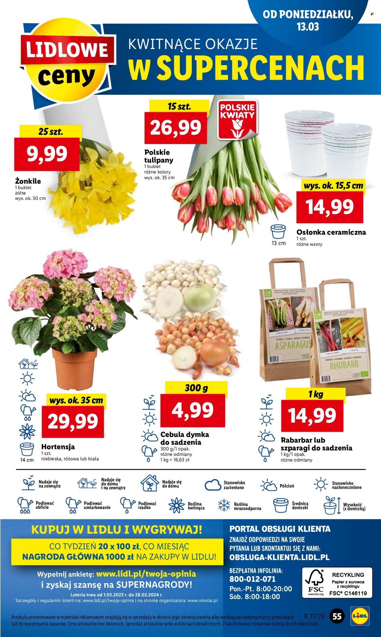 Gazetka Lidl - 13.03.2023 - 15.03.2023. Strona 61