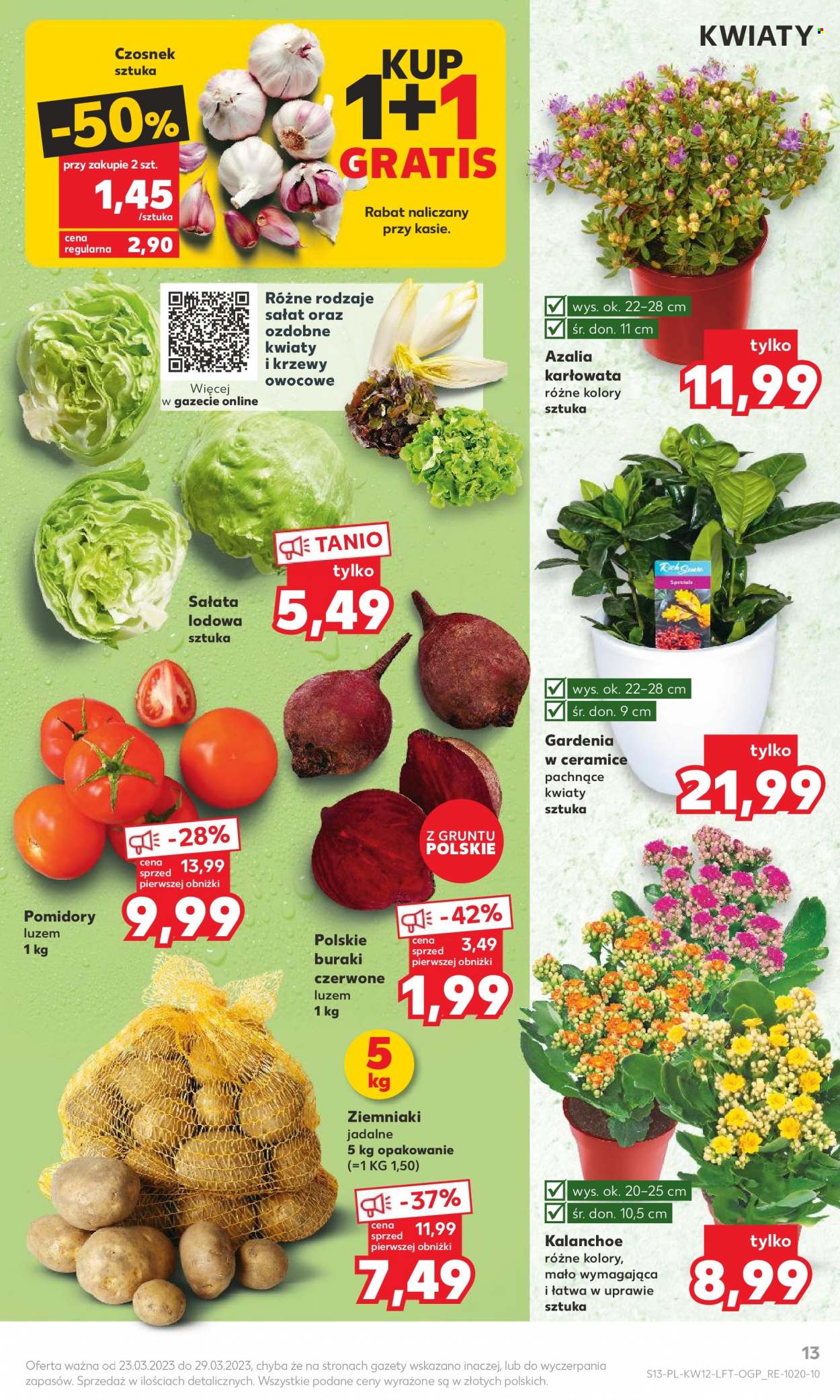 Gazetka Kaufland - 23.03.2023 - 29.03.2023. Strona 13