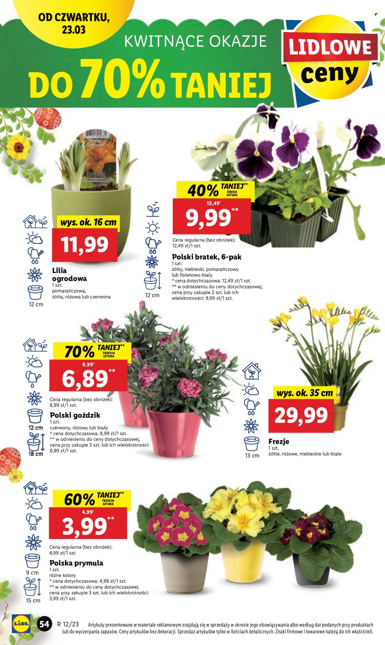 Gazetka Lidl - 23.03.2023 - 25.03.2023. Strona 62