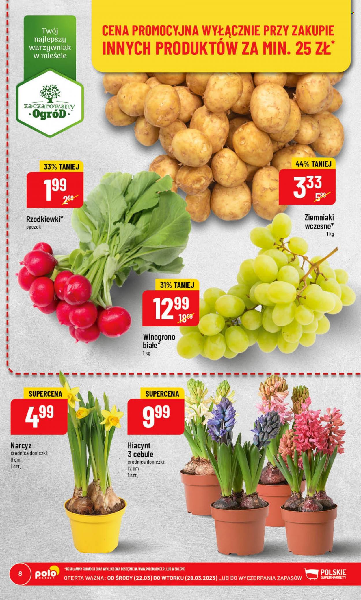 Gazetka Polomarket - 22.03.2023 - 28.03.2023. Strona 8