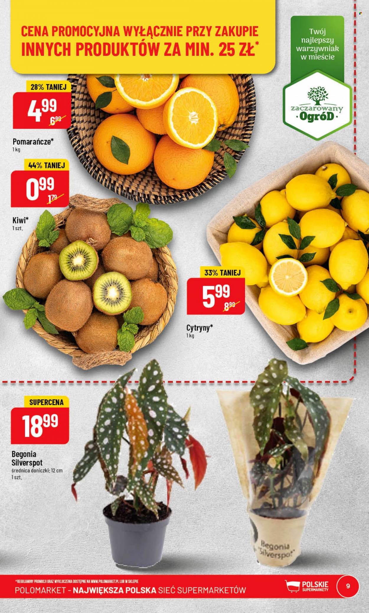Gazetka Polomarket - 22.03.2023 - 28.03.2023. Strona 9