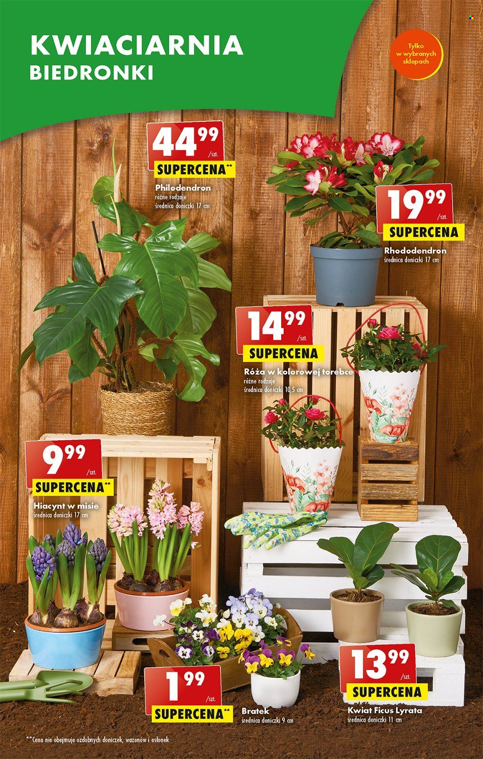 Gazetka Biedronka - 23.03.2023 - 29.03.2023. Strona 13