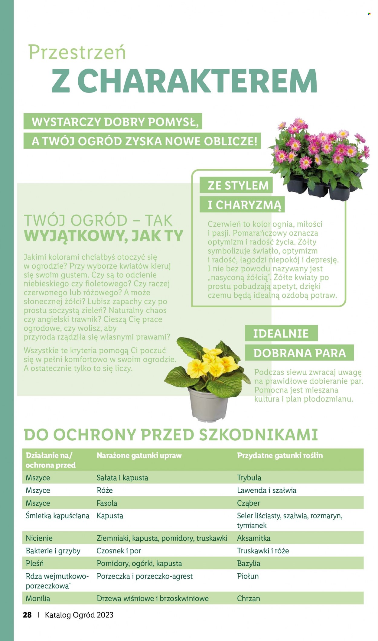 Gazetka Lidl - 27.03.2023 - 28.05.2023. Strona 28