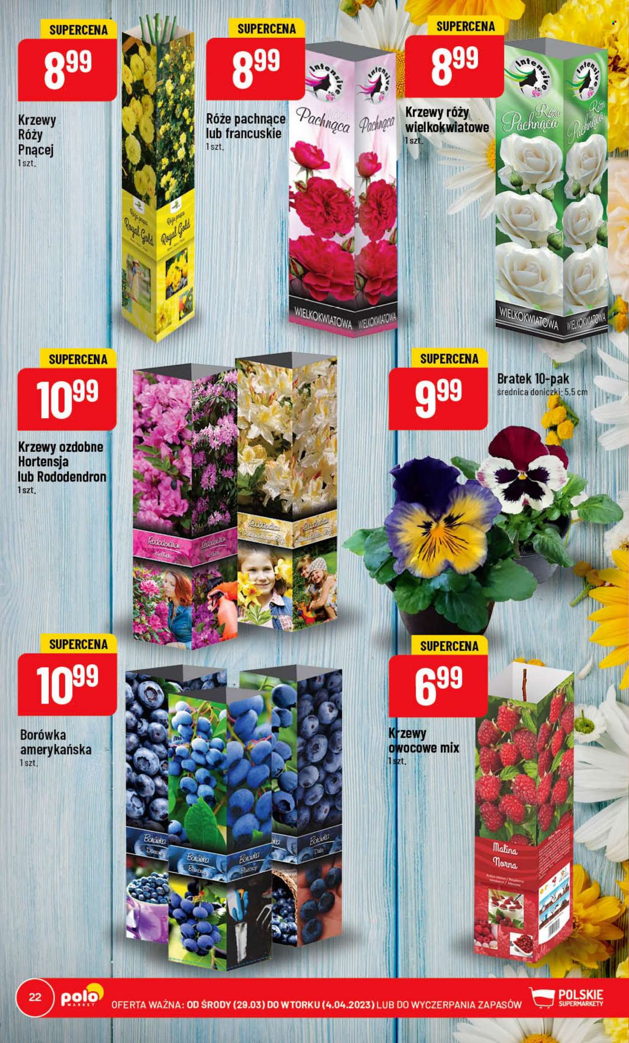 Gazetka Polomarket - 29.03.2023 - 4.04.2023. Strona 22