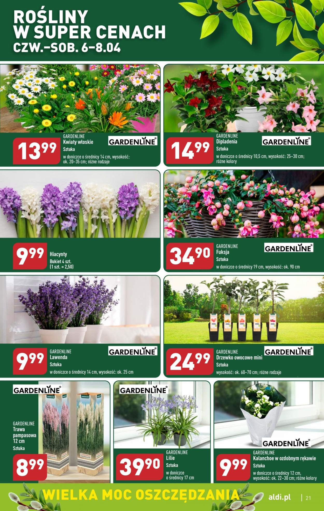 Gazetka ALDI - 3.04.2023 - 8.04.2023. Strona 21