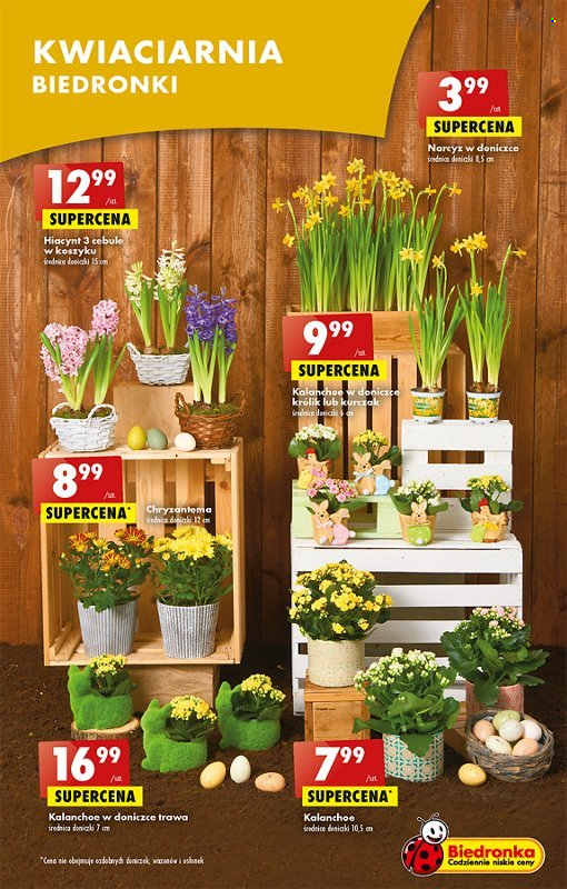 Gazetka Biedronka - 3.04.2023 - 8.04.2023. Strona 15