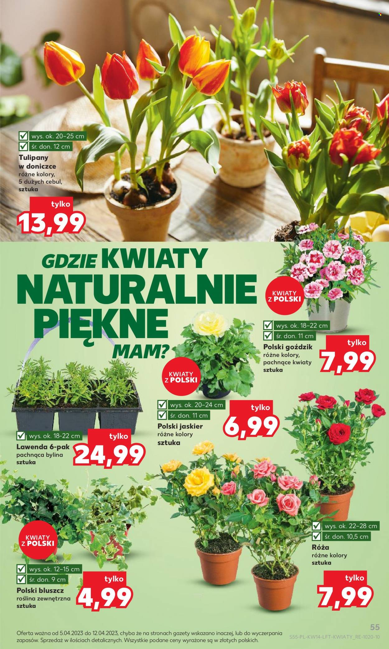 Gazetka Kaufland - 5.04.2023 - 12.04.2023. Strona 55