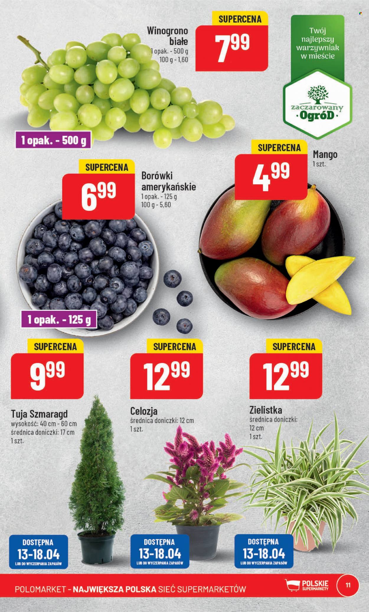 Gazetka Polomarket - 12.04.2023 - 18.04.2023. Strona 11