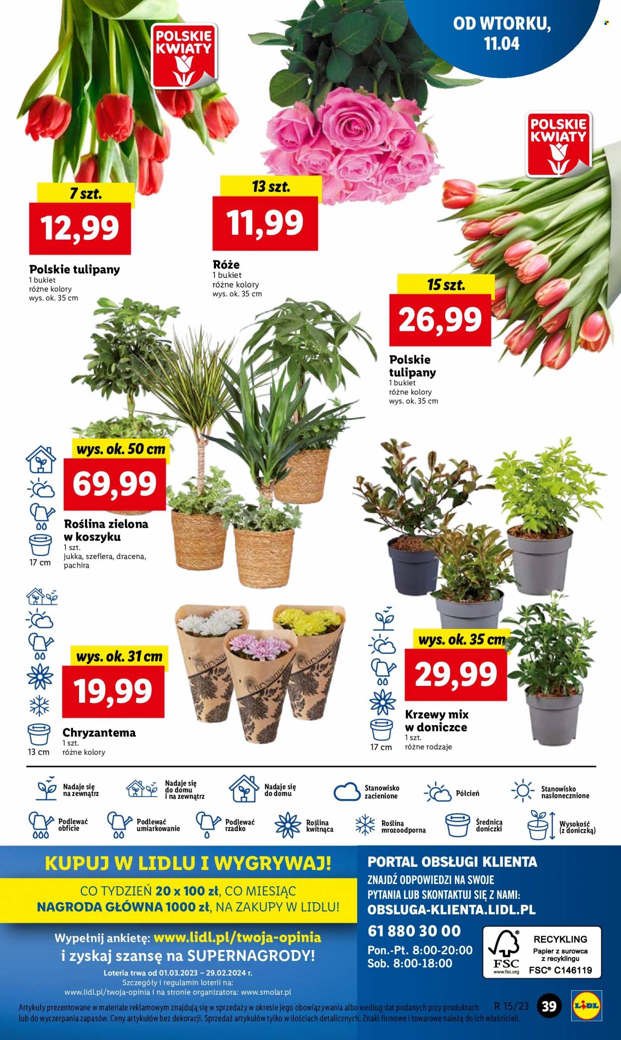 Gazetka Lidl - 11.04.2023 - 12.04.2023. Strona 45