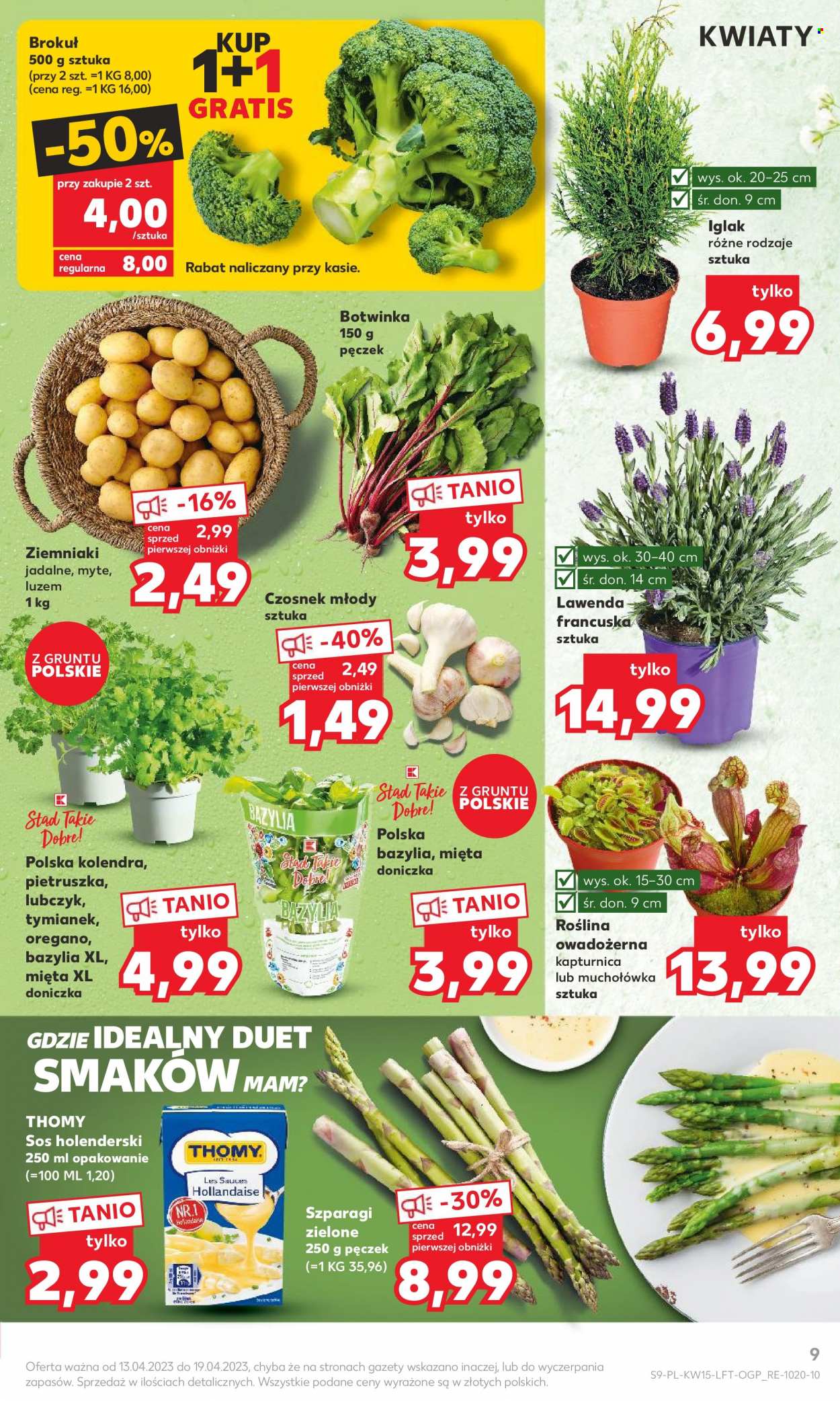 Gazetka Kaufland - 13.04.2023 - 19.04.2023. Strona 9