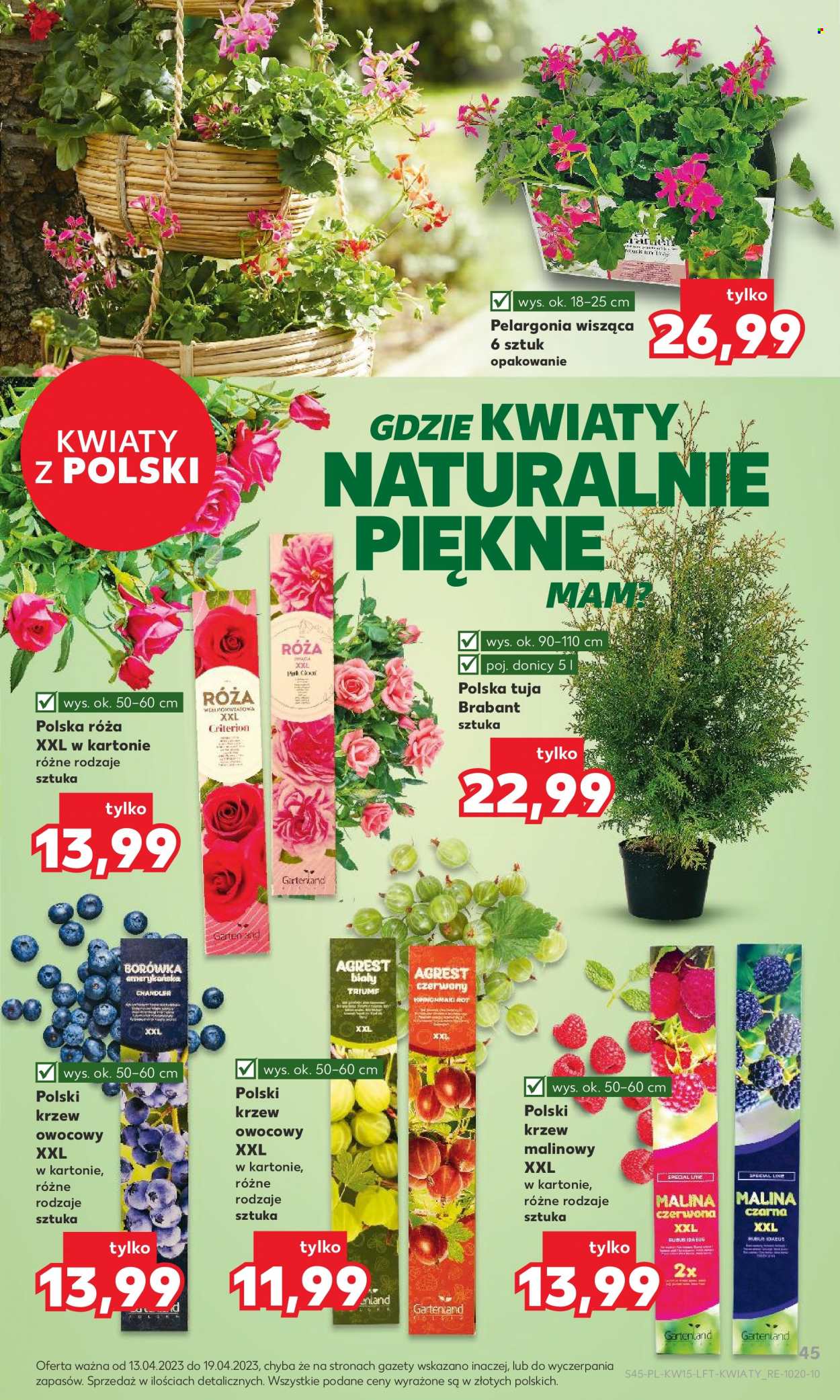 Gazetka Kaufland - 13.04.2023 - 19.04.2023. Strona 45