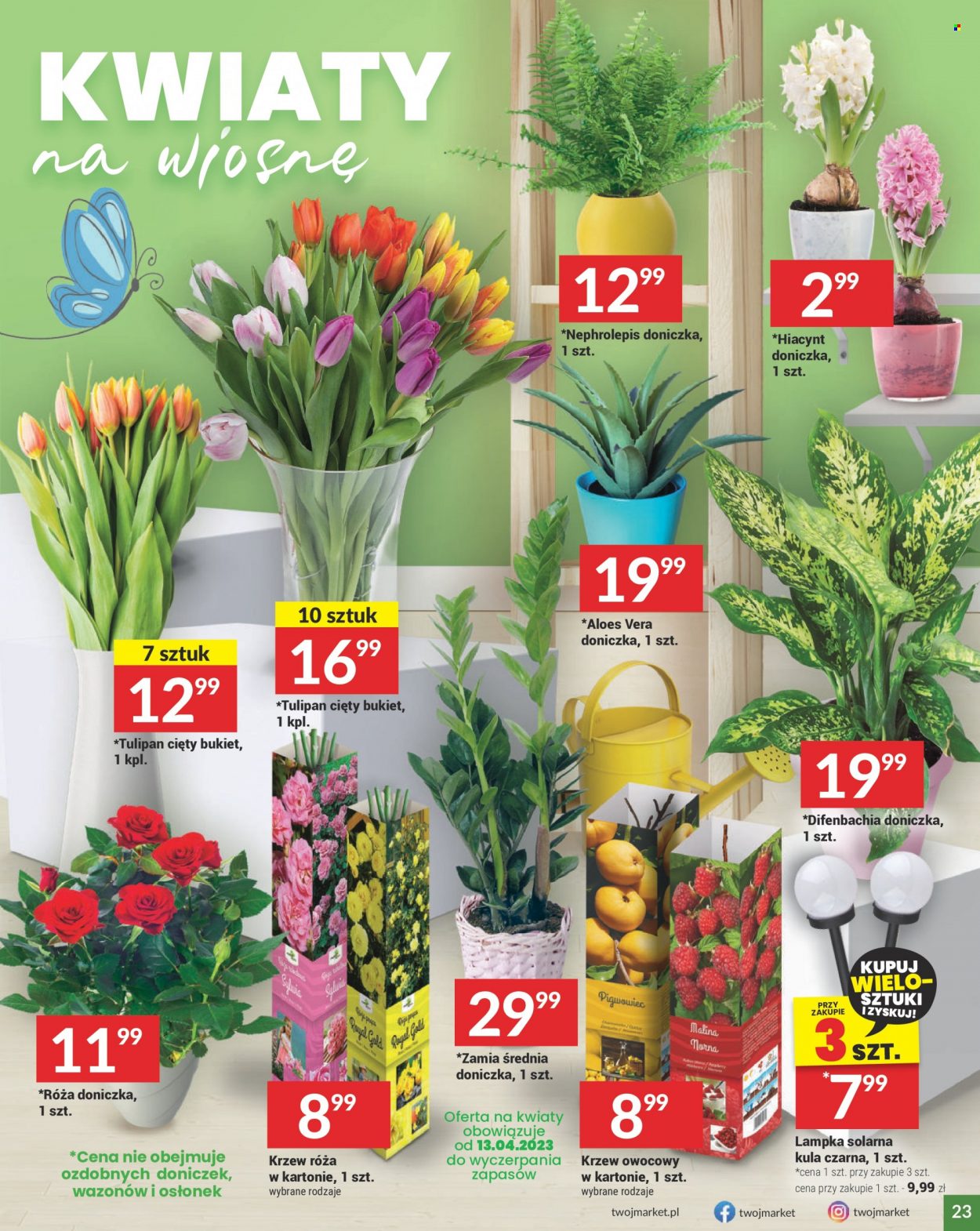 Gazetka Twój Market - 12.04.2023 - 18.04.2023. Strona 23