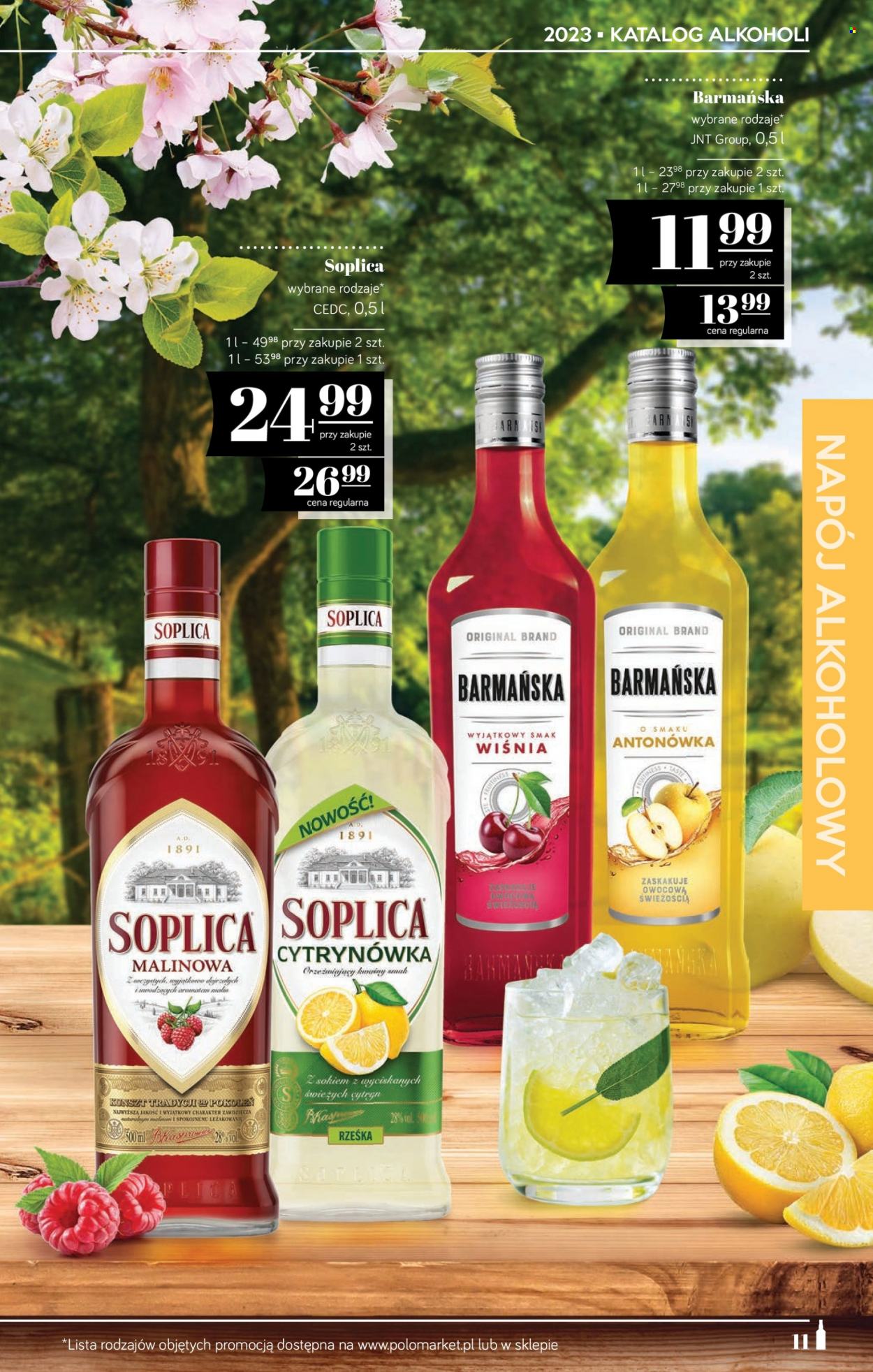 Gazetka Polomarket - 14.04.2023 - 11.05.2023. Strona 11