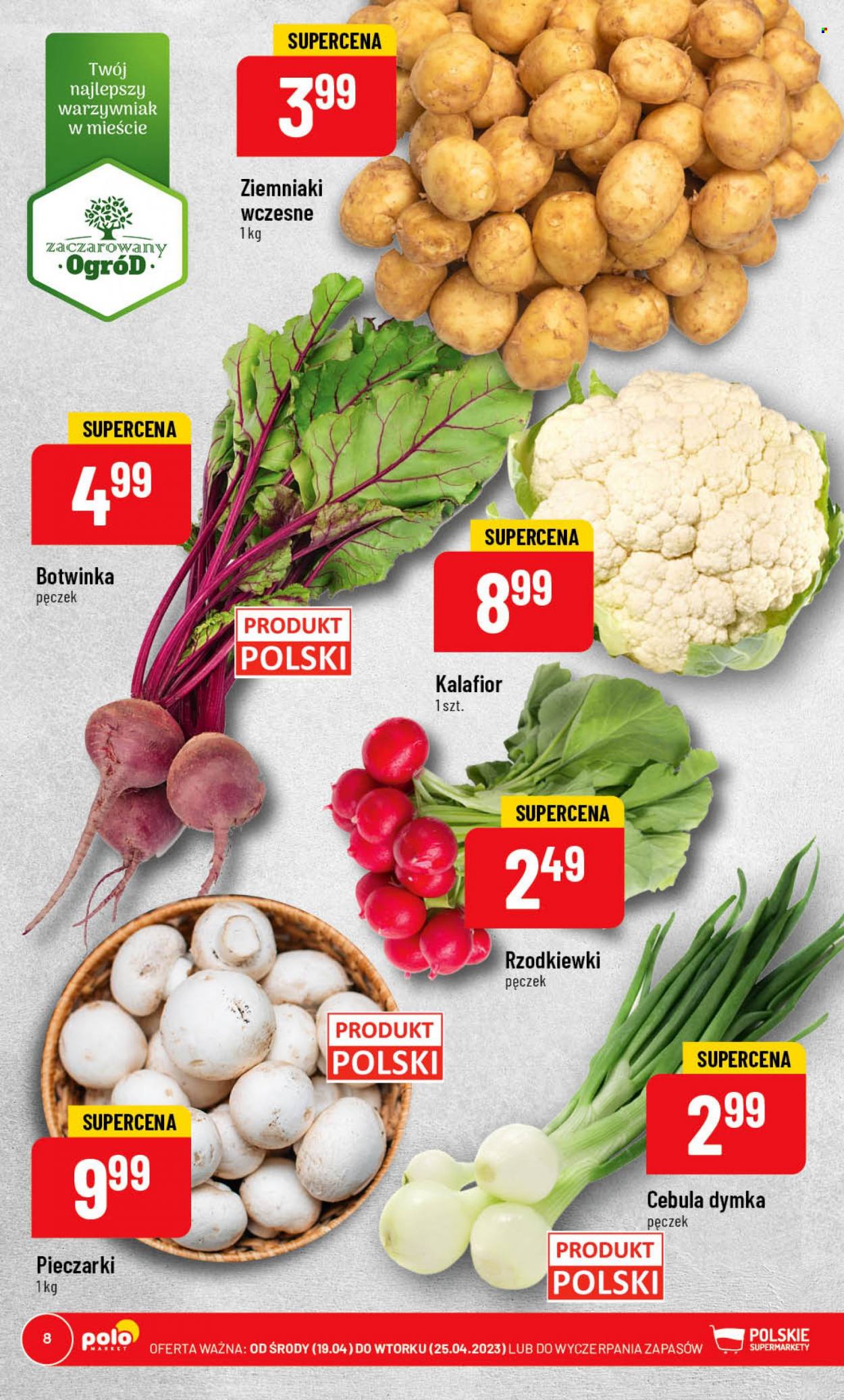 Gazetka Polomarket - 19.04.2023 - 25.04.2023. Strona 8