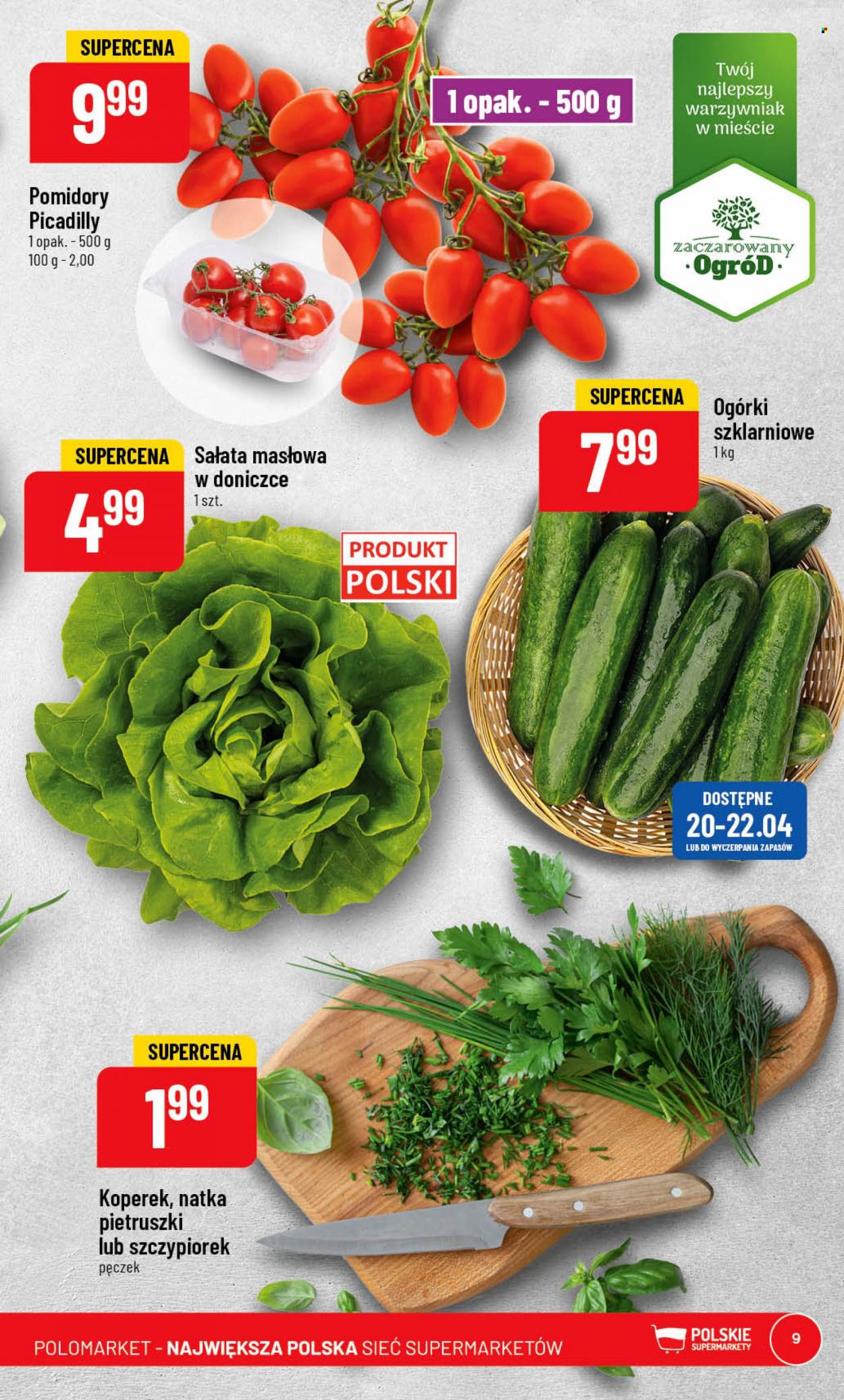 Gazetka Polomarket - 19.04.2023 - 25.04.2023. Strona 9